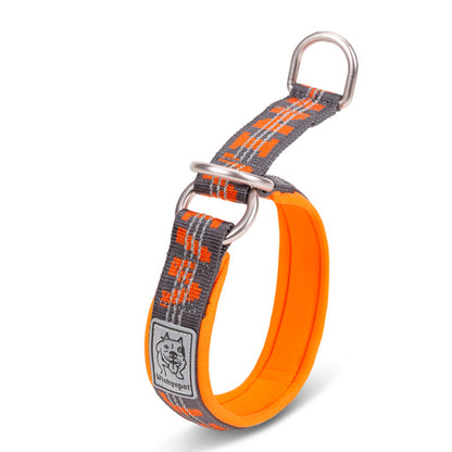Colorful Dog Collar