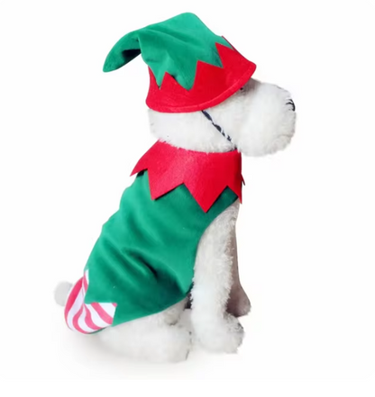 Cute Dog Costume