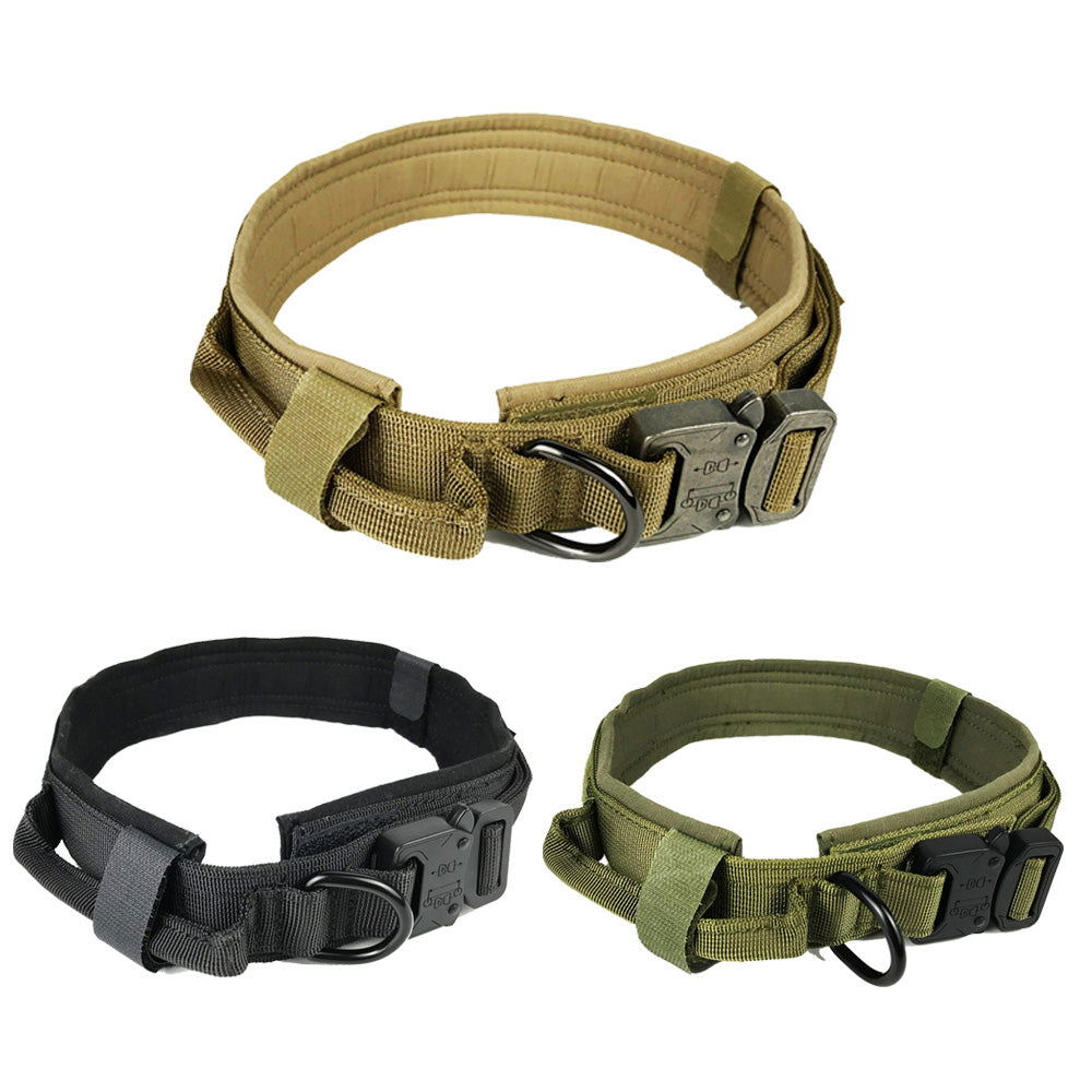 Everyday Dog Collar