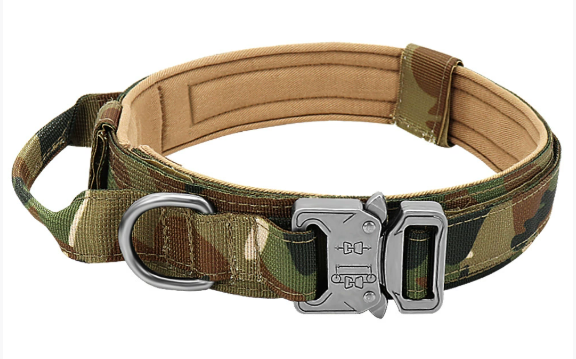Everyday Dog Collar