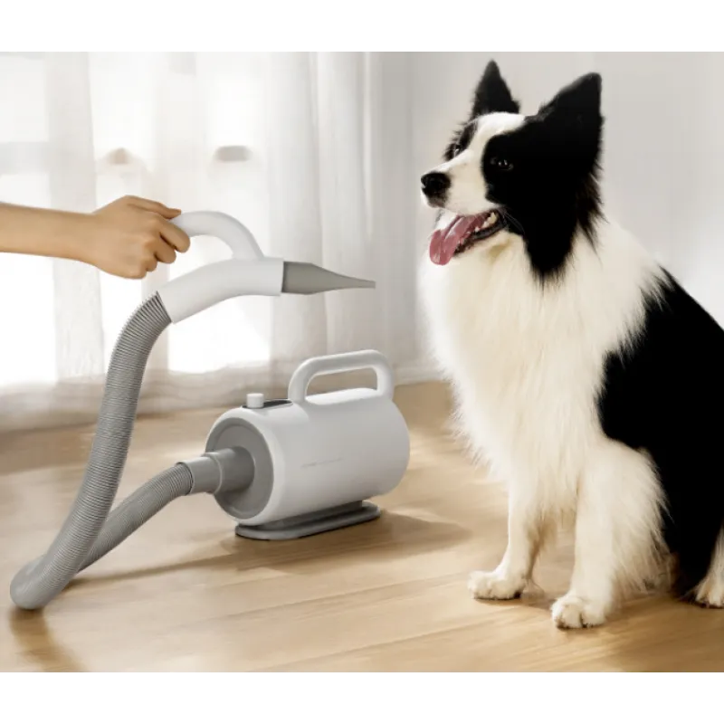 High-Power Dog Hair Dryer & Blower