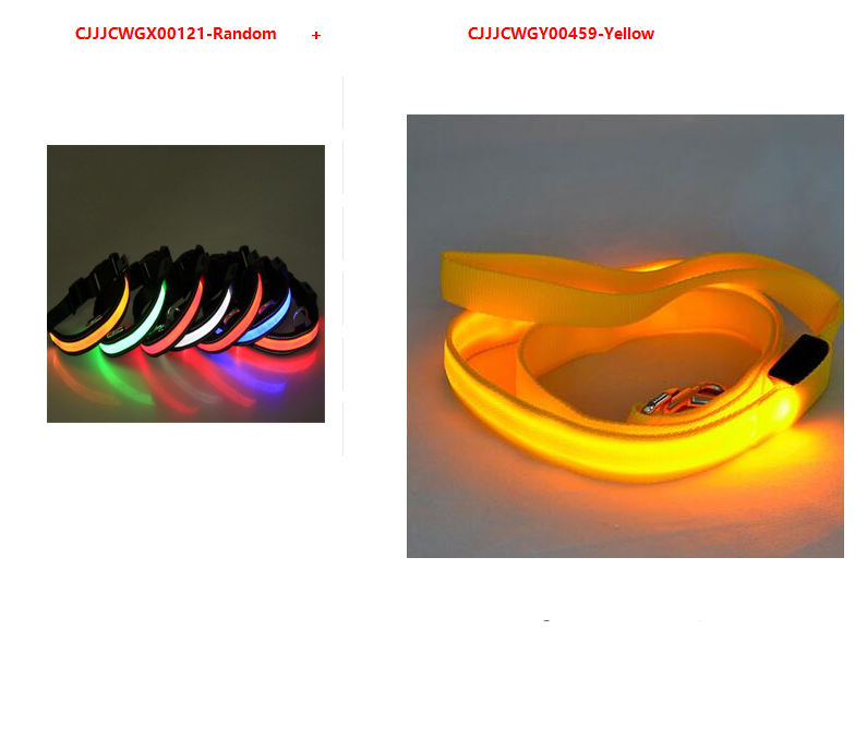 LED Fluorescent Dog Collar