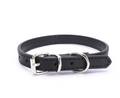 Stylish Dog Collar