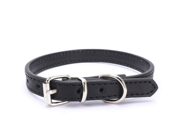 Stylish Dog Collar