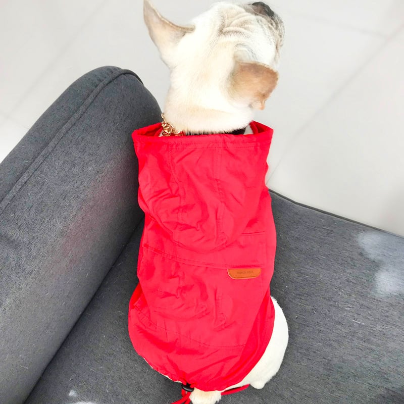 Dog Sun-Protective Coat