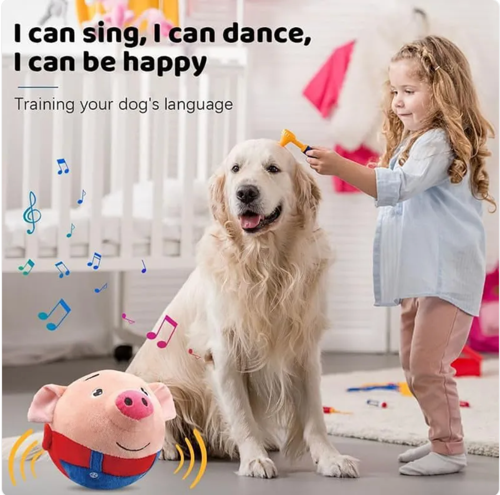 Plush Squeaky Dog Toy