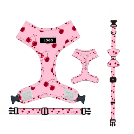 Dog Leash & Harness Set