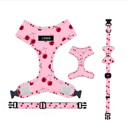 Dog Leash & Harness Set