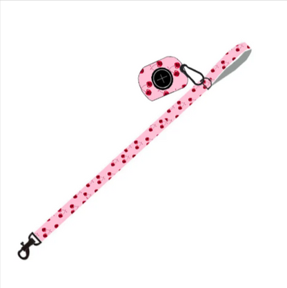 Dog Leash & Harness Set