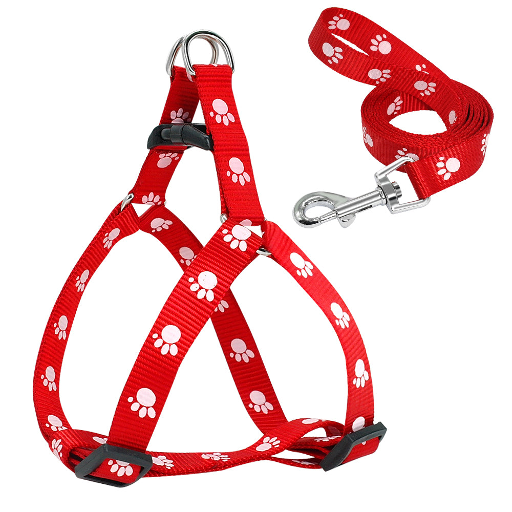Paw Print Dog Leash