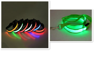 LED Fluorescent Dog Collar