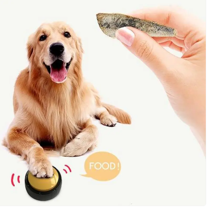Dog Personalized Sound Button