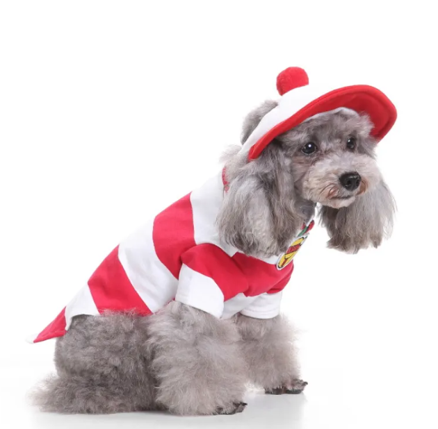 Cute Dog Costume
