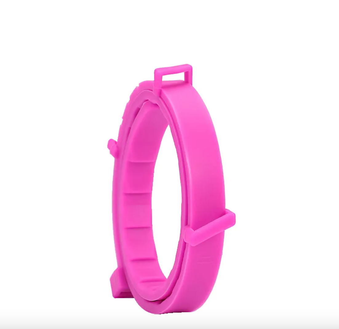 Anti-Flea Dog Collar