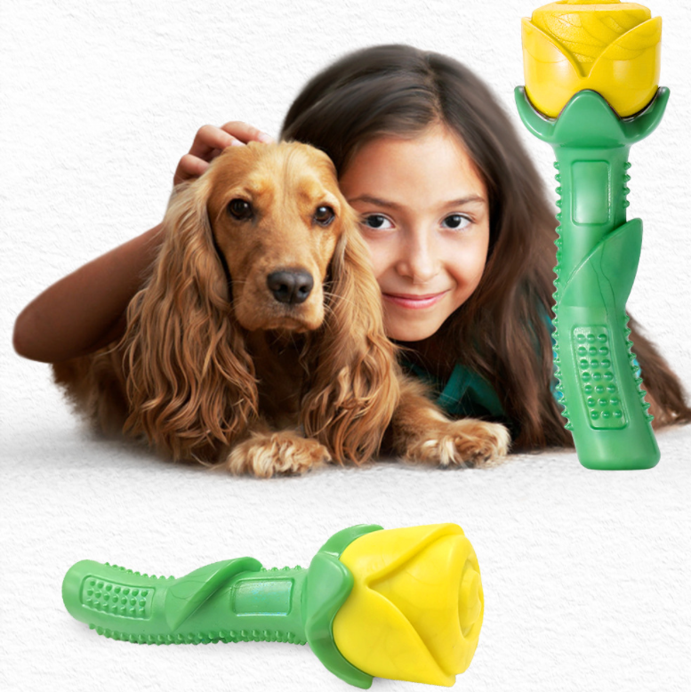 Dog Teether Toy