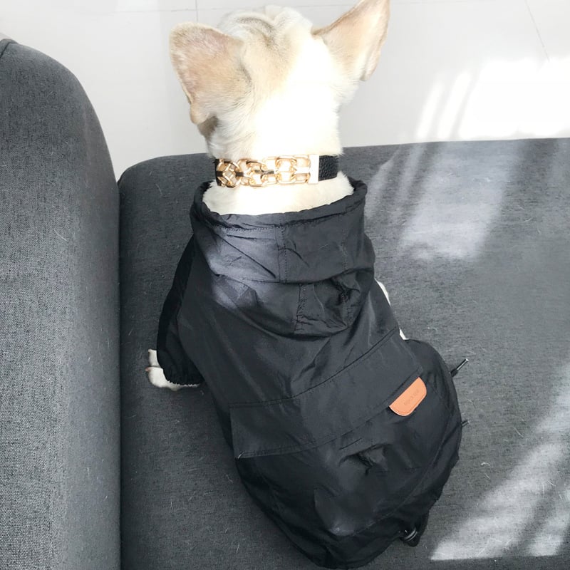 Dog Sun-Protective Coat