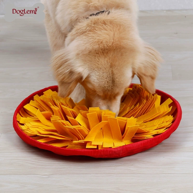 Dog Snuffle Mat & Anti-Choke Slow Feed Bowl