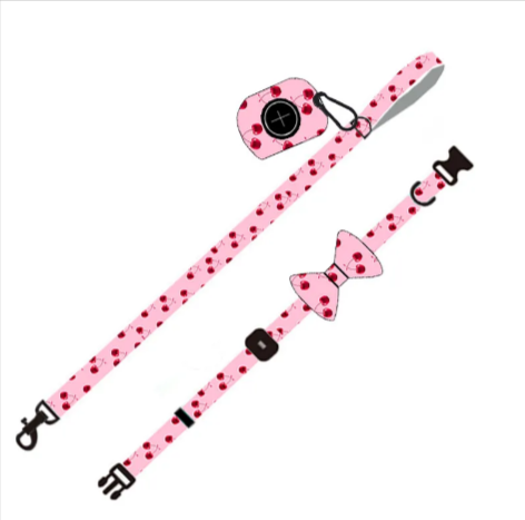 Dog Leash & Harness Set
