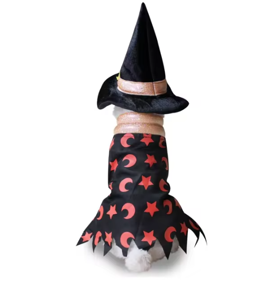 Cute Dog Costume
