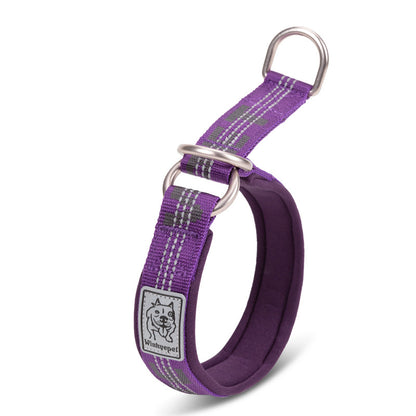 Colorful Dog Collar