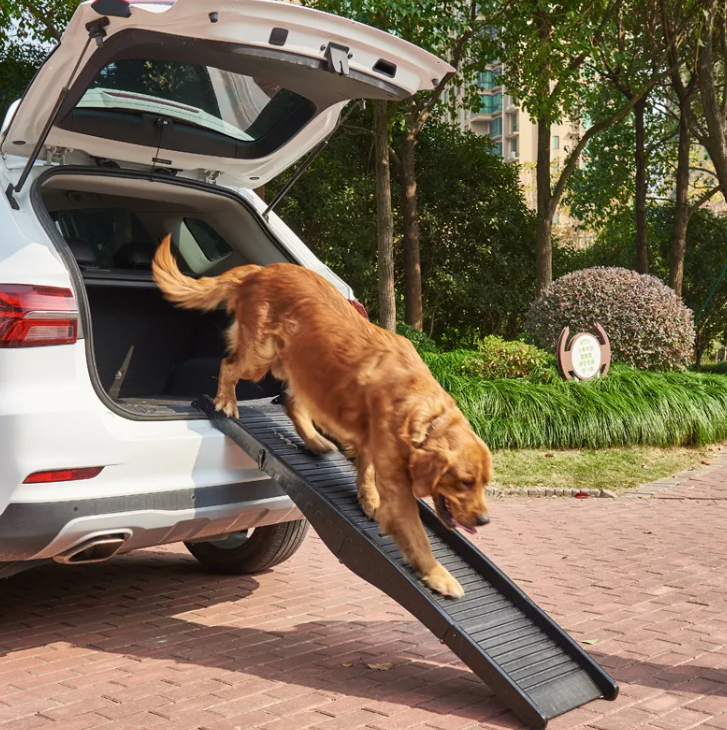Folding Pet Step Ladder