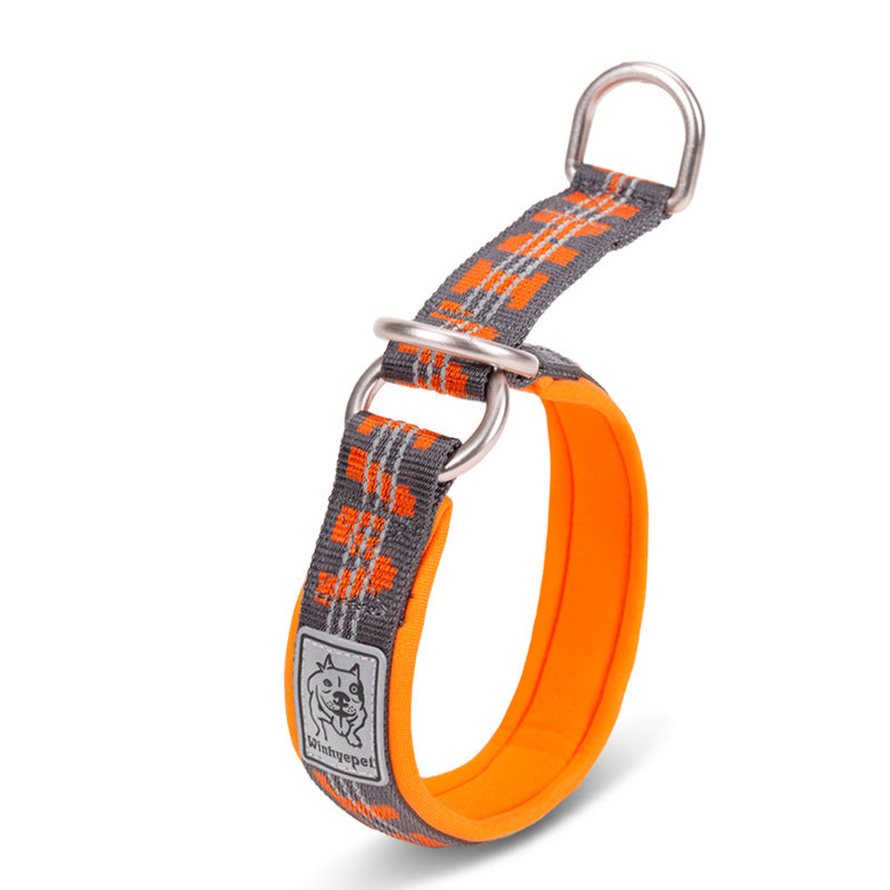 Colorful Dog Collar