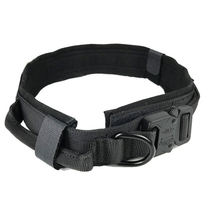 Everyday Dog Collar