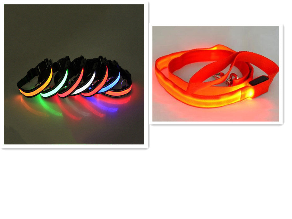 LED Fluorescent Dog Collar