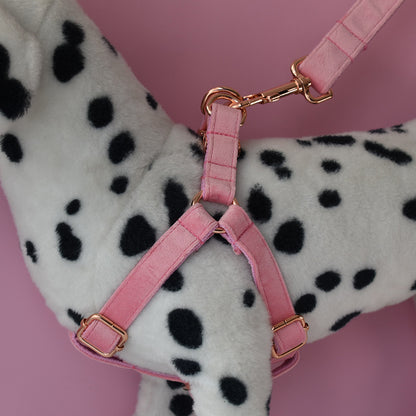 Flannel Dog Harness Set