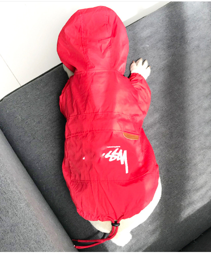 Dog Sun-Protective Coat
