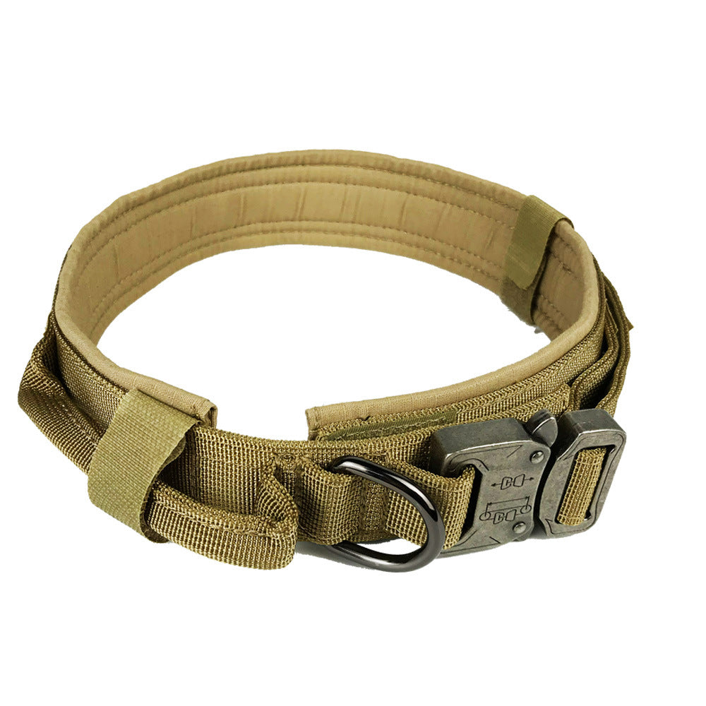 Everyday Dog Collar