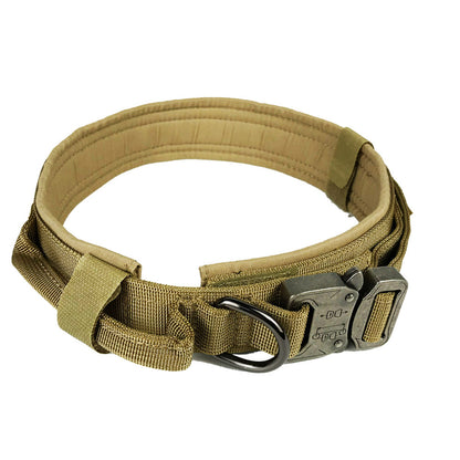Everyday Dog Collar