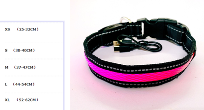 LED Fluorescent Dog Collar