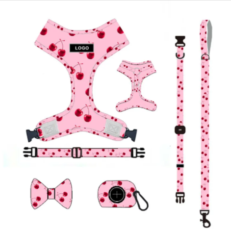 Dog Leash & Harness Set
