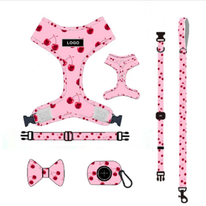 Dog Leash & Harness Set