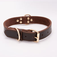 Cowhide Mushroom Nail Dog Collar