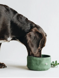 Portable Folding Dog Water Bowl