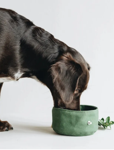 Portable Folding Dog Water Bowl
