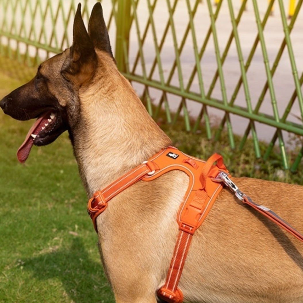 CORDURA Reflective Dog Harness