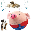 Plush Squeaky Dog Toy