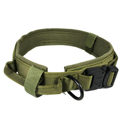Everyday Dog Collar