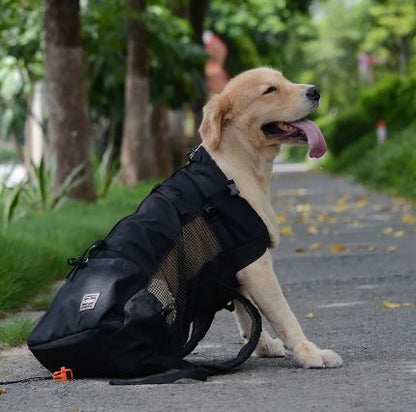 Hiking Dog Carrier Backpack