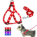 Paw Print Dog Leash