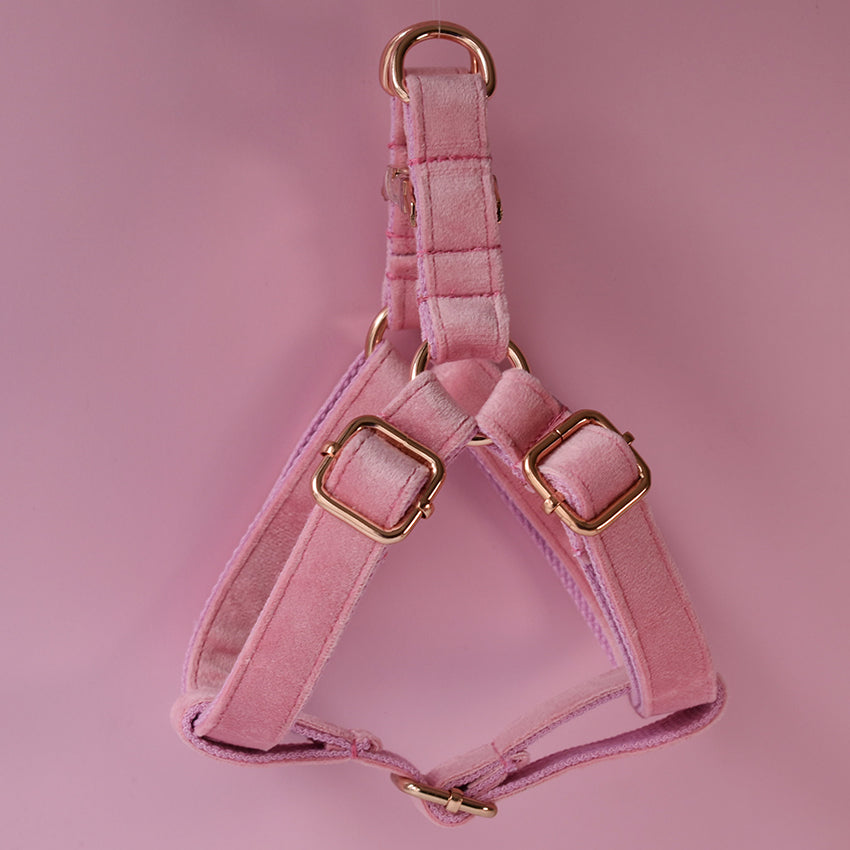 Flannel Dog Harness Set