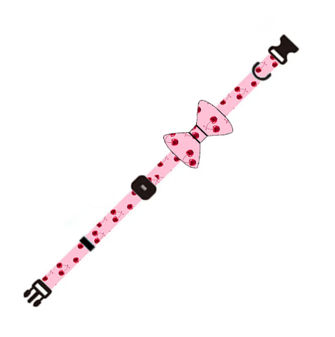 Dog Leash & Harness Set