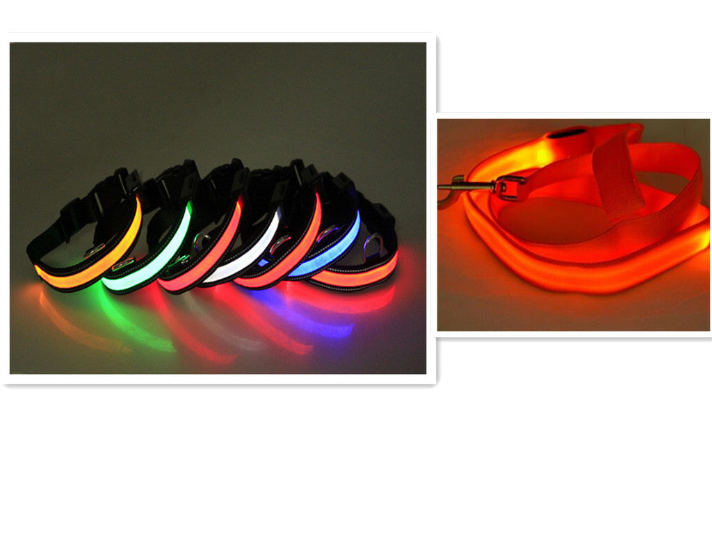 LED Fluorescent Dog Collar