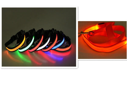 LED Fluorescent Dog Collar