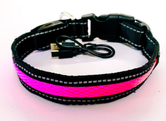 LED Fluorescent Dog Collar