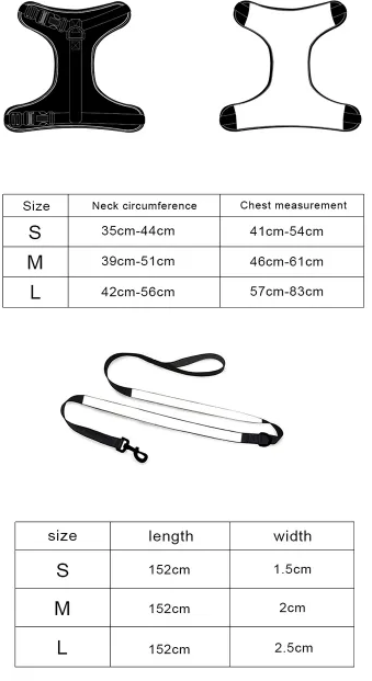 Dog Leash & Harness Set