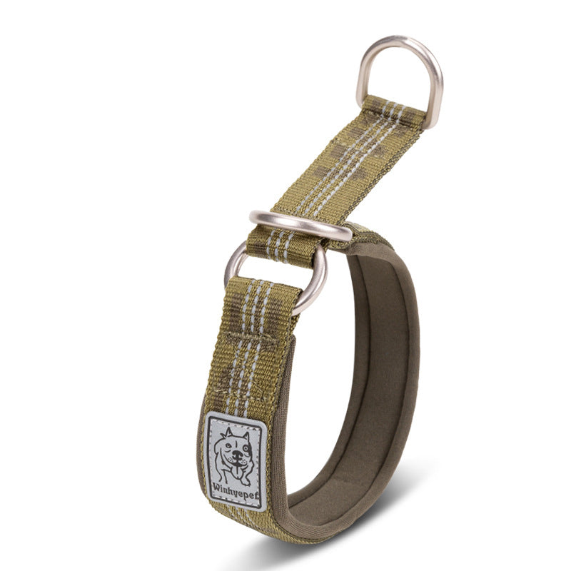 Colorful Dog Collar
